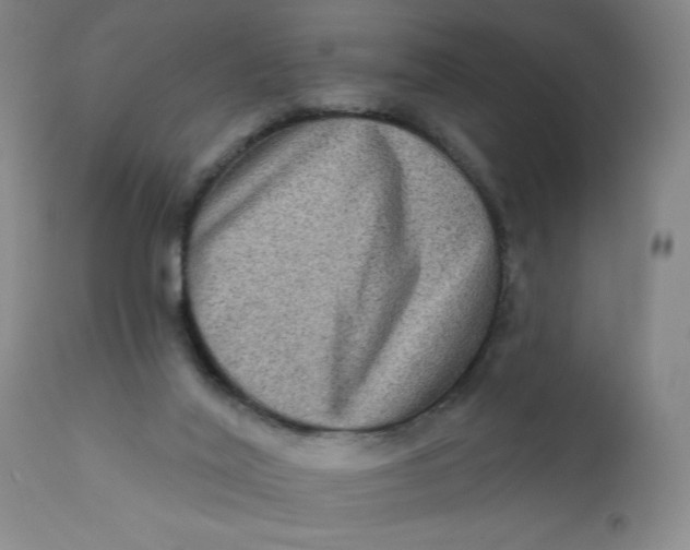 X0000112420020200909041423