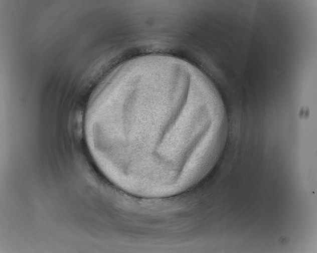 X0000112420022200909041423