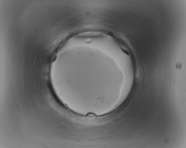 X0000112420023200909041423