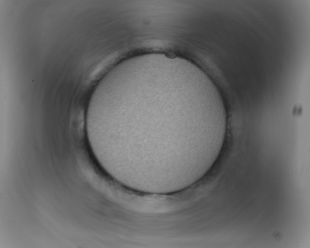 X0000112420024200909041423