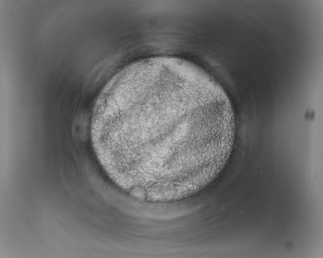 X0000112420026200909041423