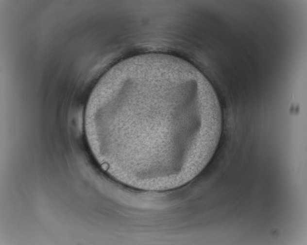 X0000112420028200909041423