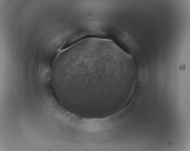 X0000112420029200909041423