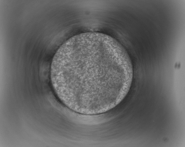 X0000112420030200909041423