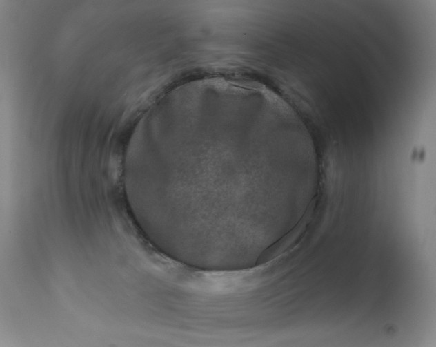 X0000112420033200909041423