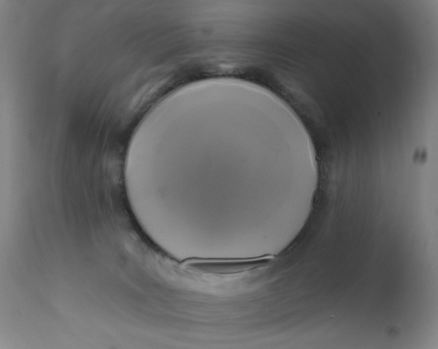 X0000112420035200909041423