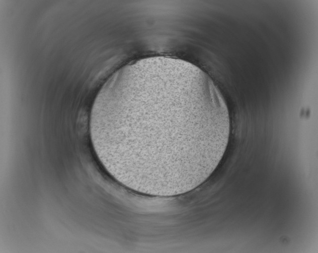 X0000112420036200909041423