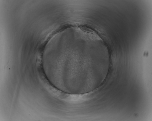 X0000112420037200909041423