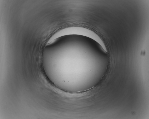 X0000112420039200909041423