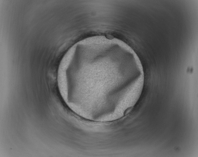 X0000112420040200909041423