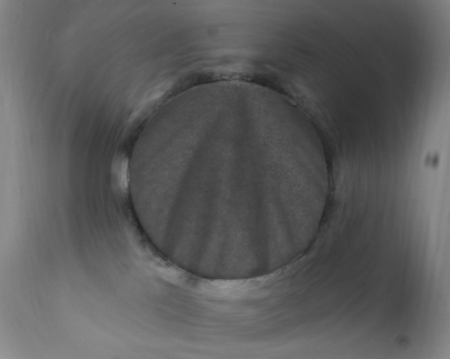 X0000112420041200909041423