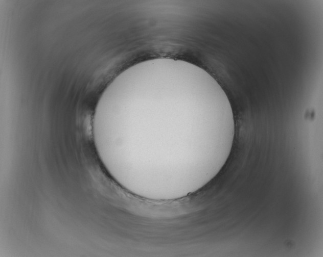 X0000112420042200909041423