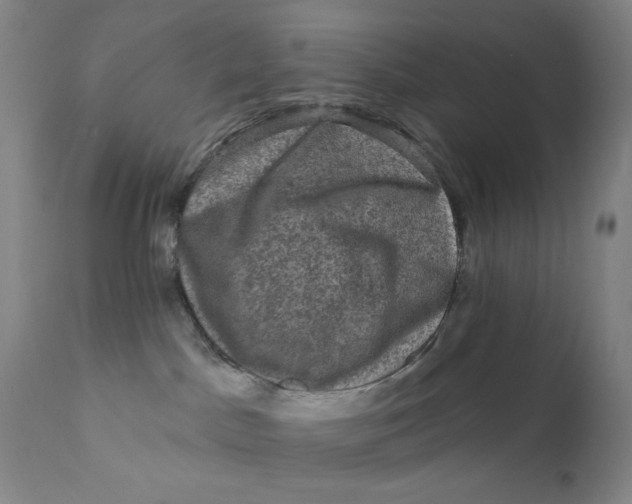 X0000112420045200909041423