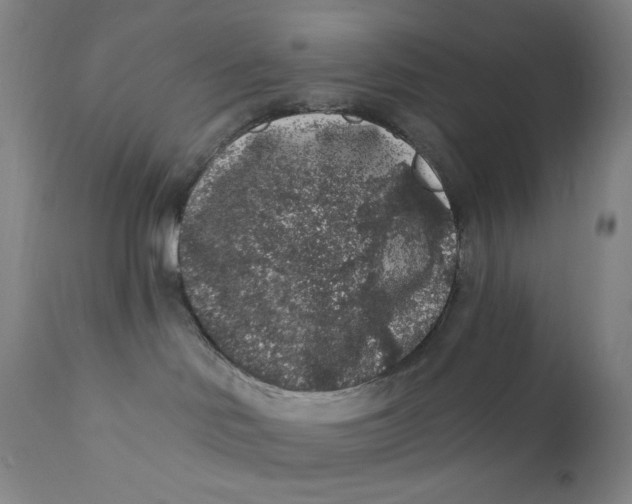 X0000112420046200909041423