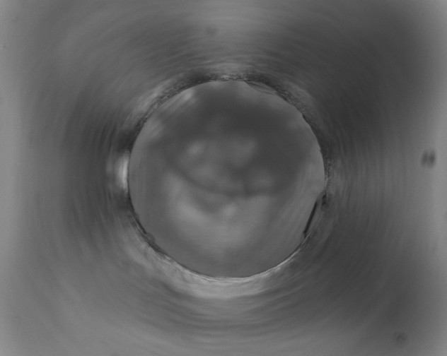 X0000112420047200909041423