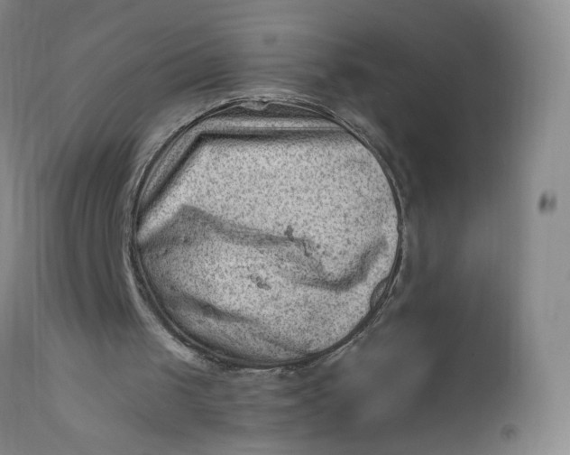 X0000112420049200909041422