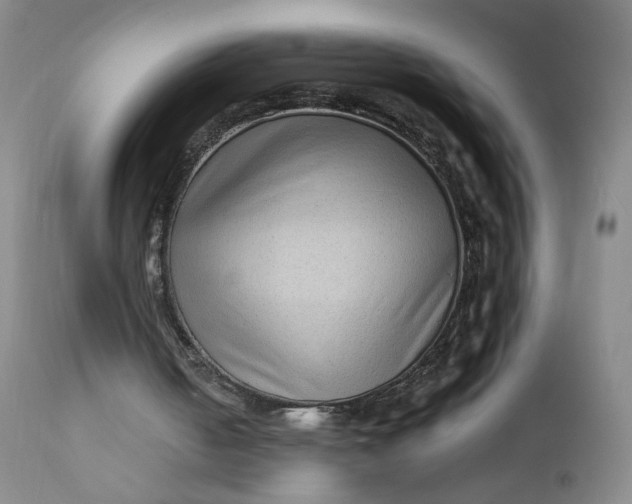 X0000112420050200909041422