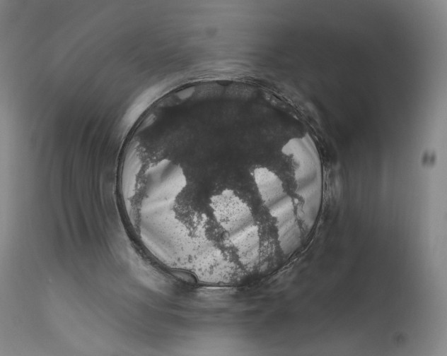 X0000112420051200909041422