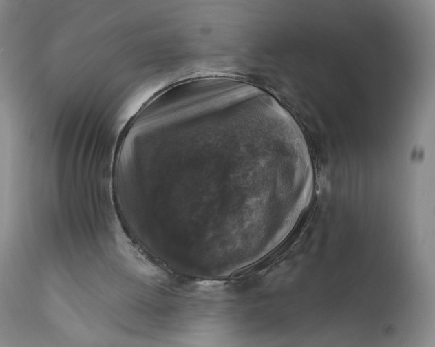 X0000112420052200909041422