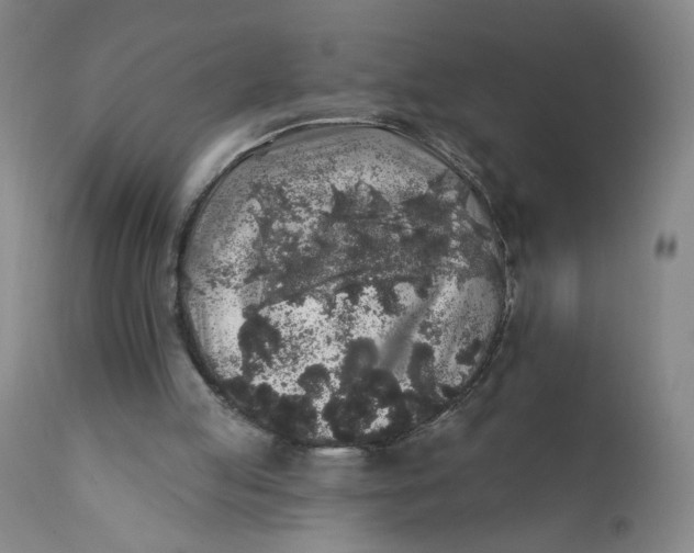 X0000112420053200909041422