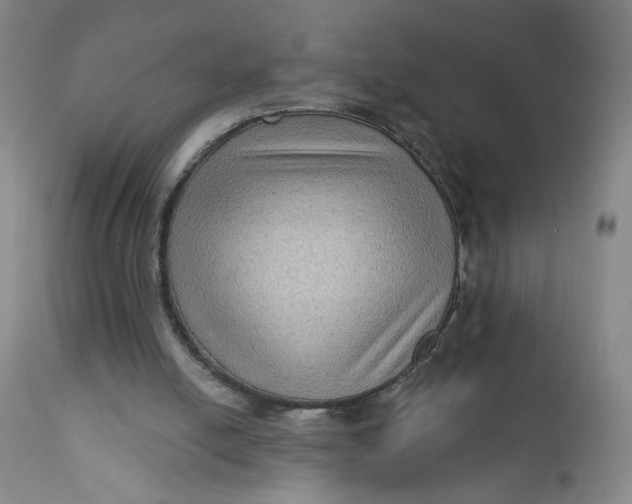 X0000112420054200909041422