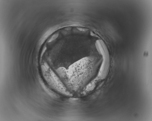 X0000112420055200909041422