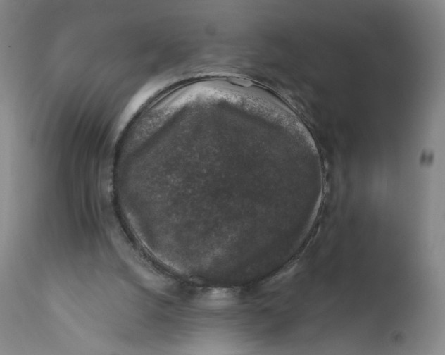 X0000112420056200909041422