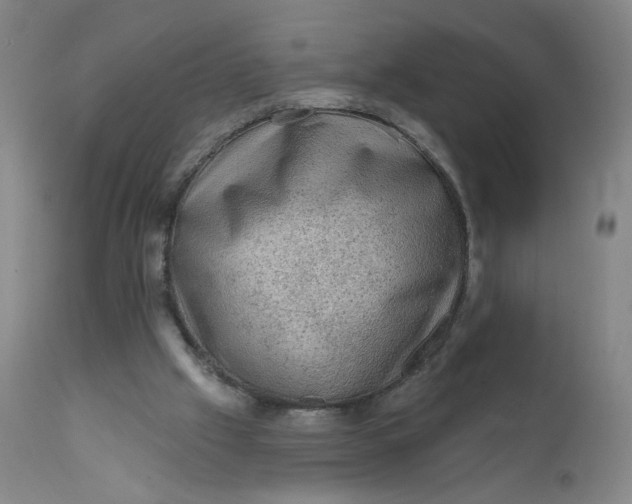 X0000112420057200909041422