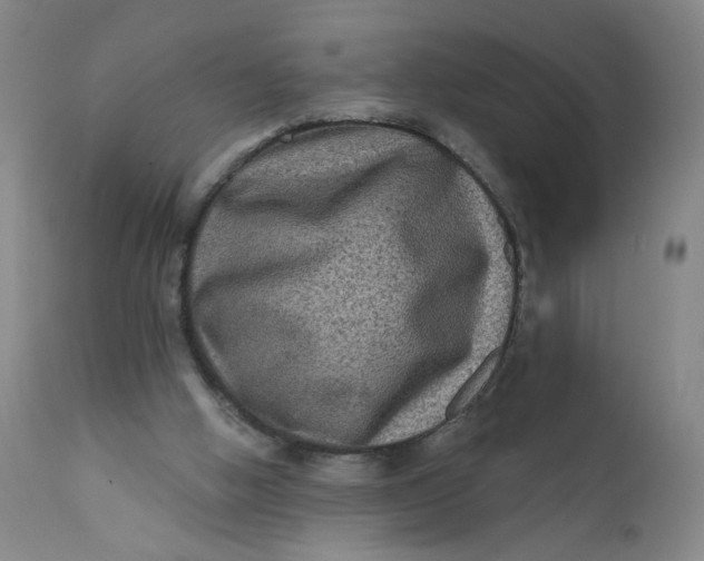 X0000112420058200909041422