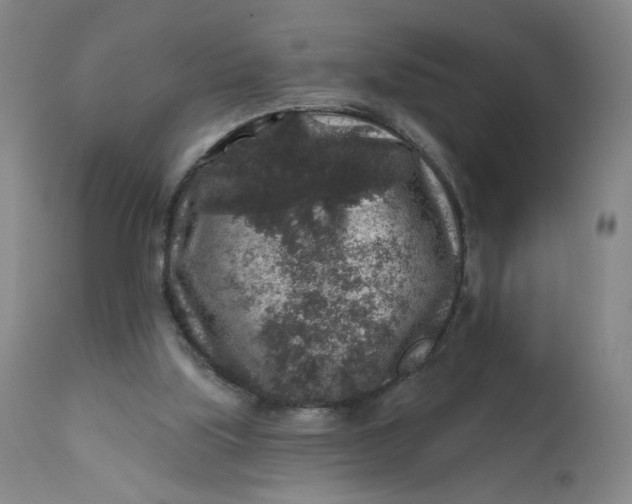 X0000112420059200909041422