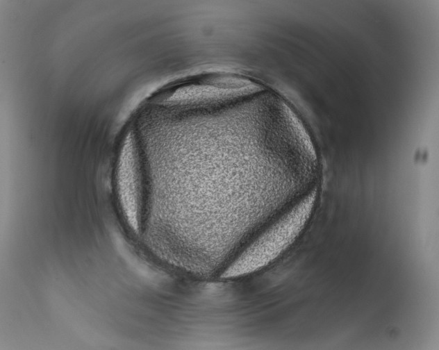 X0000112420060200909041422