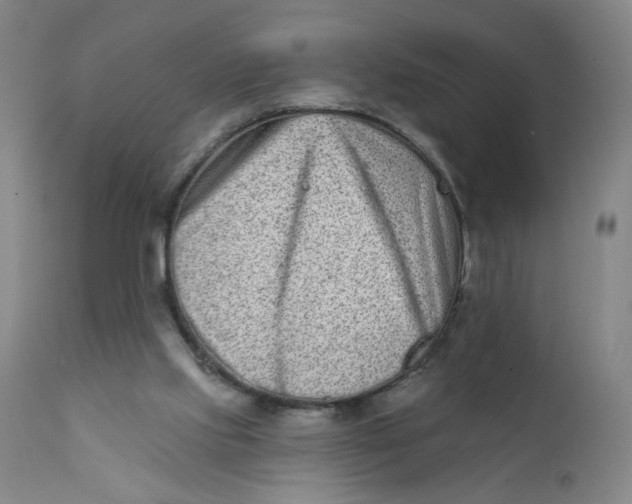 X0000112420061200909041422