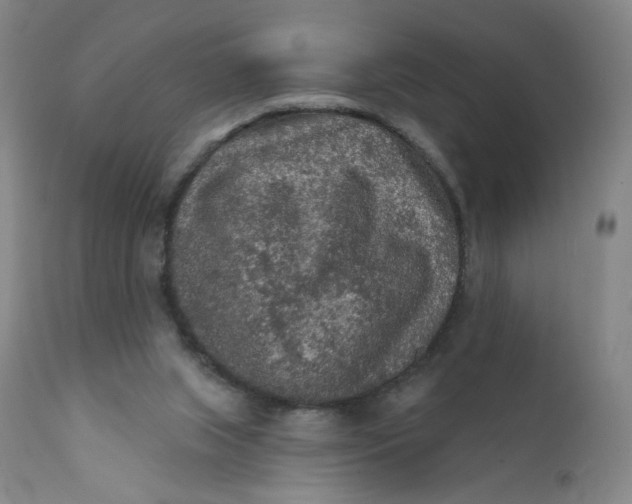 X0000112420063200909041422