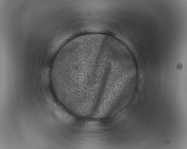 X0000112420066200909041422