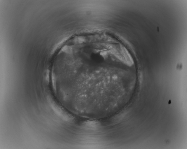 X0000112420067200909041422