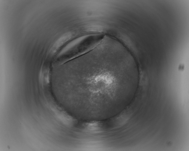 X0000112420068200909041422