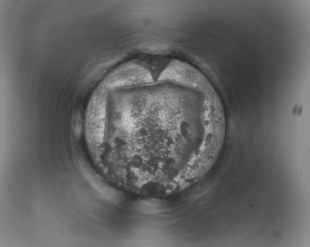 X0000112420069200909041422