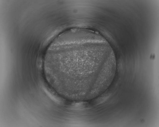 X0000112420072200909041422