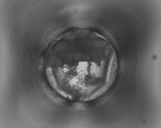 X0000112420073200909041422