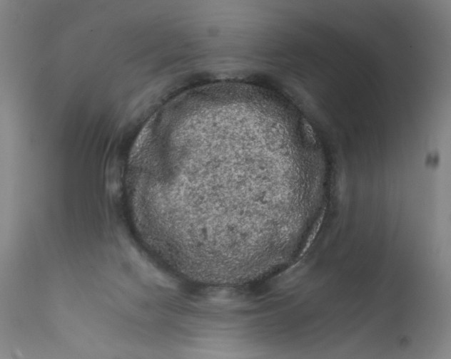 X0000112420074200909041422