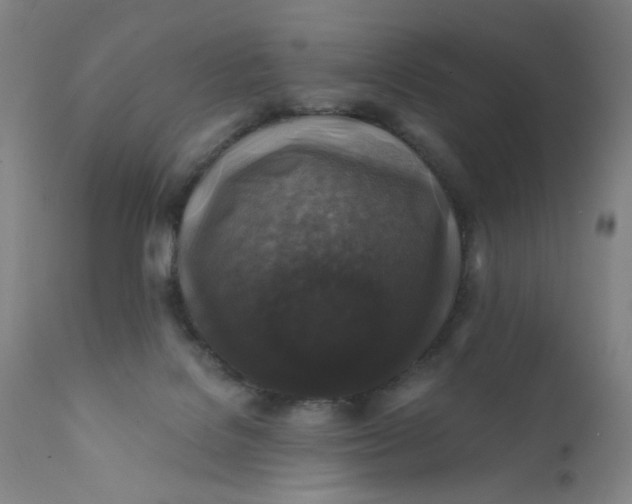 X0000112420076200909041422