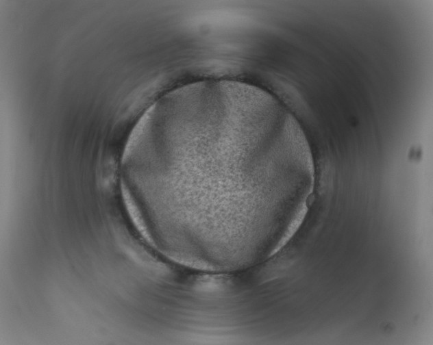 X0000112420077200909041422