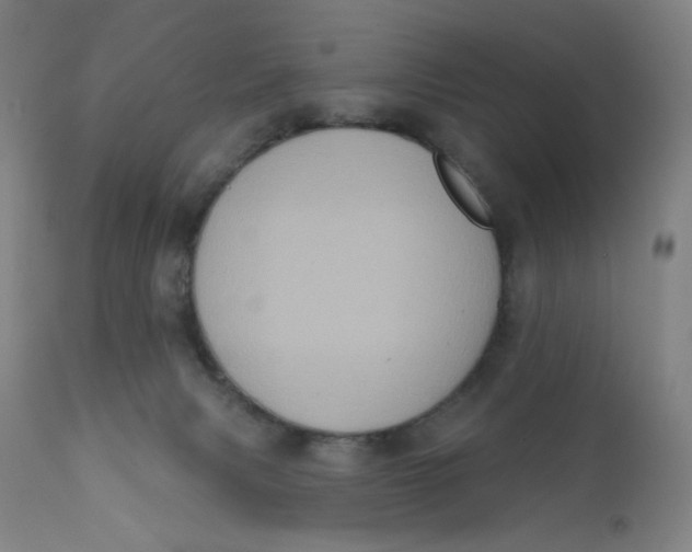 X0000112420079200909041423