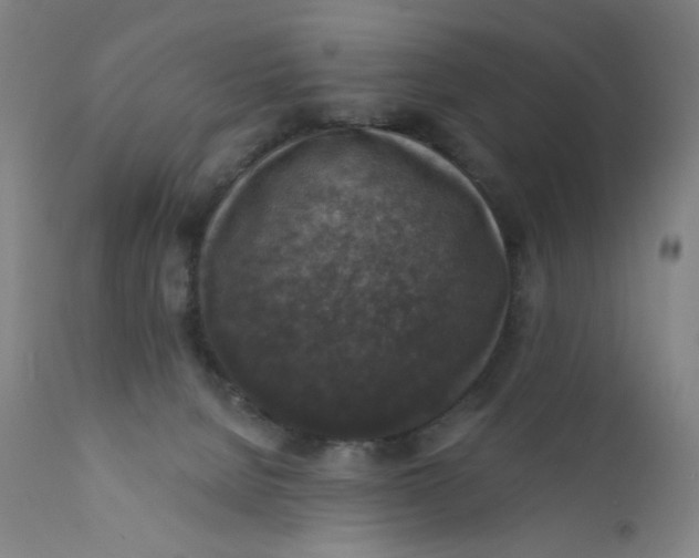 X0000112420080200909041423