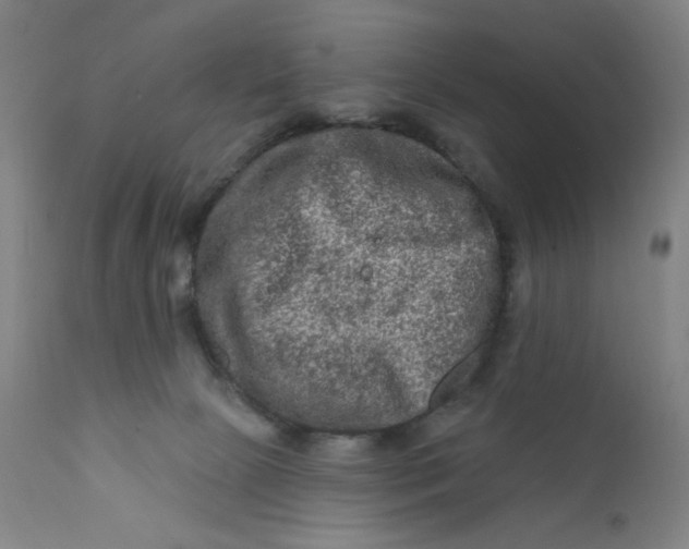 X0000112420081200909041423