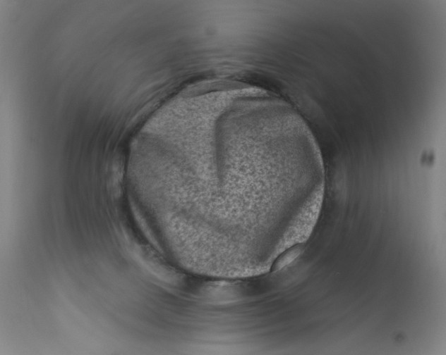 X0000112420082200909041423