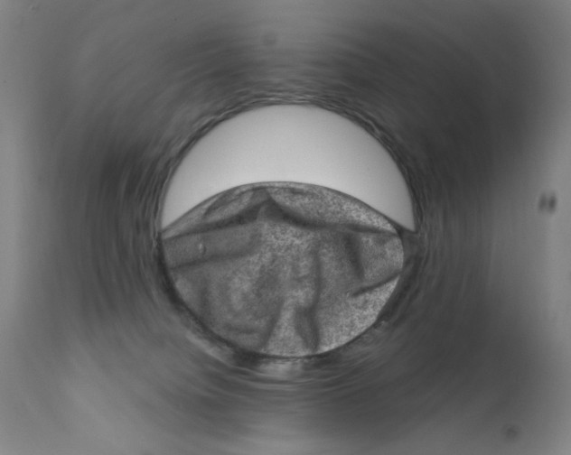 X0000112420084200909041423