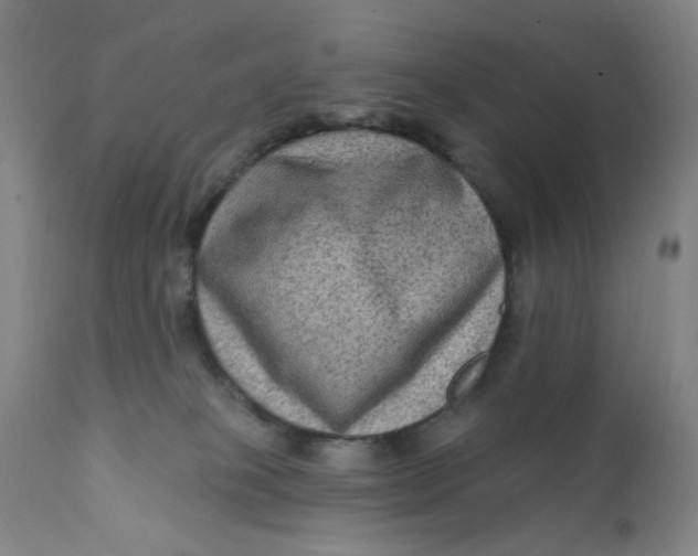 X0000112420085200909041423