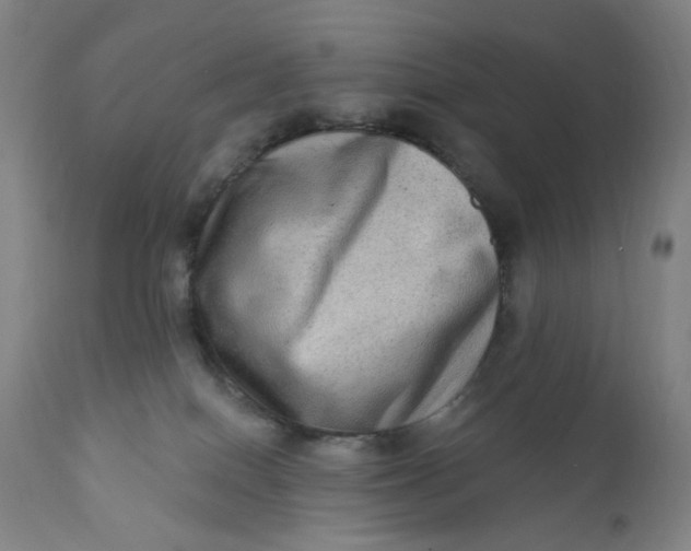 X0000112420086200909041423