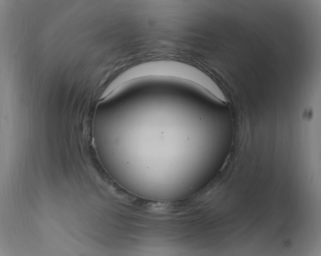 X0000112420088200909041423